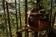 The HemLoft Treehouse (Whistler, Canada)