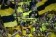 I tifosi del Dortmund