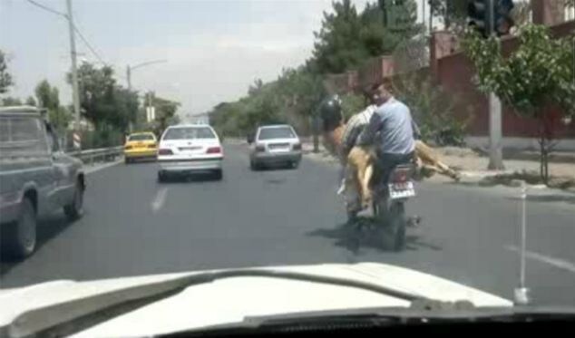 Due giovani motociclisti iraniani trasportano una grossa capra in sella alla loro moto. L'animale, per sicurezza, indossa persino il casco.