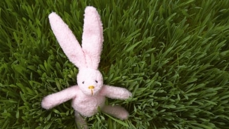 Ecco 10 cose che non sapevi di poter lavare in lavatrice