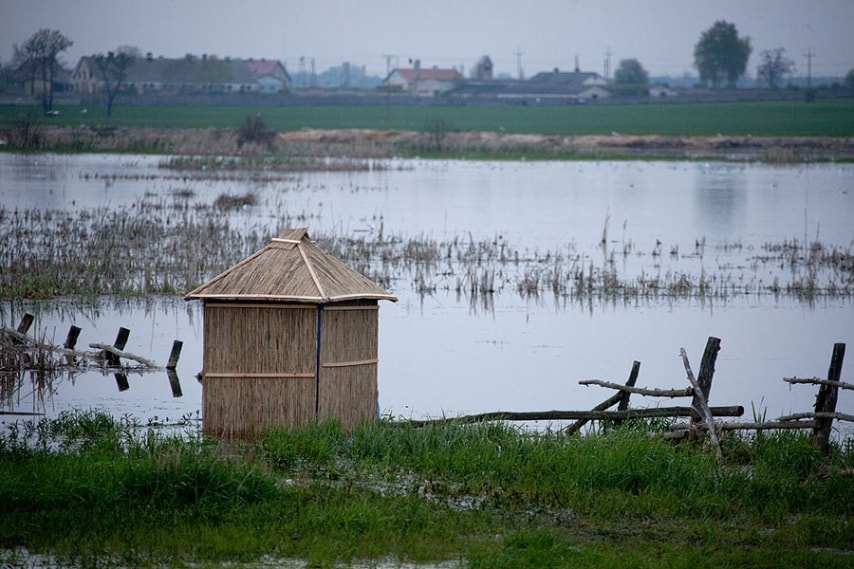 Villaggio nel distretto amministrativo di Gmina Kórnik, all'interno di Poznań County, Voivodato della Grande Polonia.