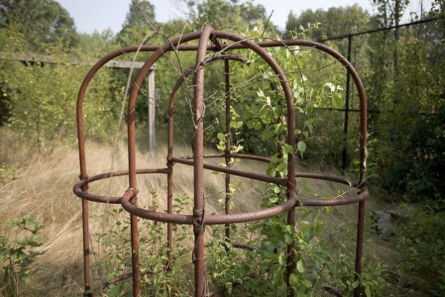 Come se non fosse abbastanza raccapricciante, Wilson conservava sette denti di Davee come souvenir.