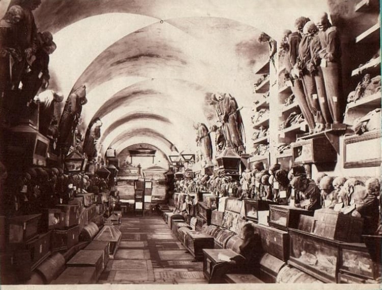 Lo spettacolo macabro degli innumerevoli cadaveri esposti è spunto di riflessione sulla caducità della vita, sulle vanità terrene e sull'inutilità dell'attaccamento degli uomini alle loro fattezze esteriori. Non sono mai state inventariate le salme ivi presenti, ma si è calcolato che debbano raggiungere la cifra di circa 8.000.