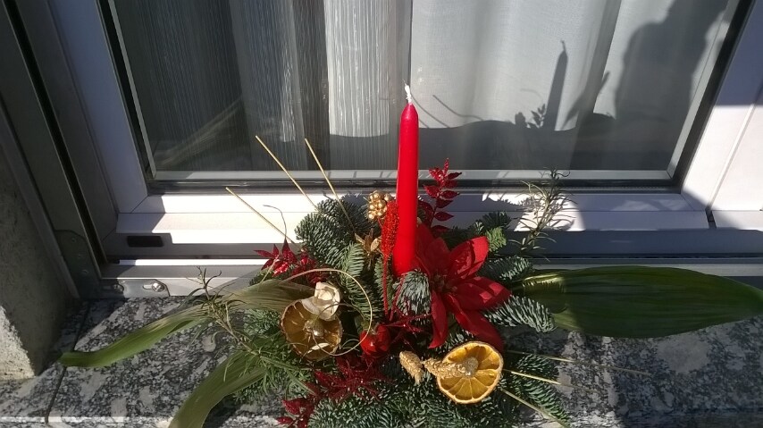 Foto inviata da Liliana Seveso