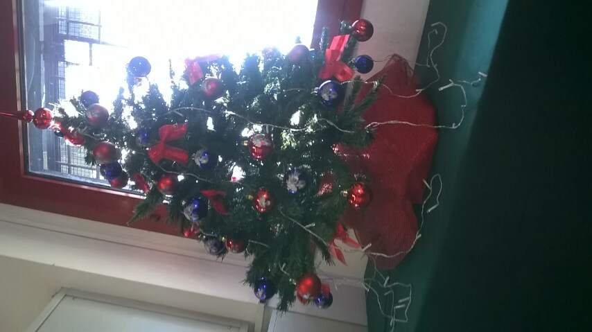 Foto inviata da Liliana Seveso