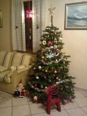 Foto inviata da Tanja Chaterina L.