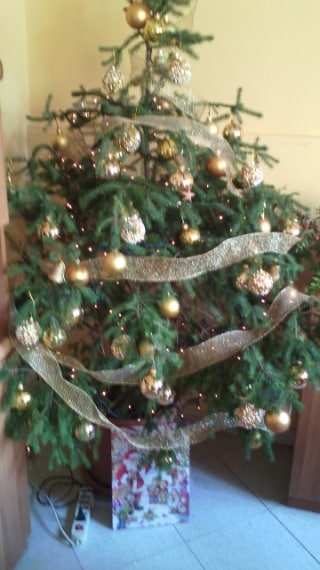 Foto inviata dalla nostra utente Carmela Grazia Rao.