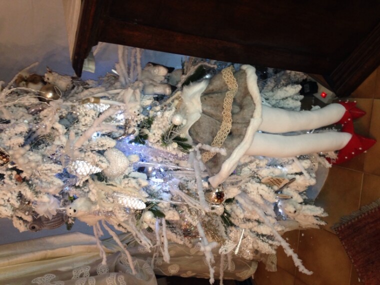 Foto inviata dall'utente Lucia M.