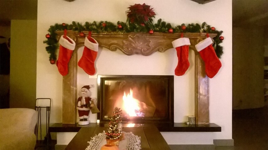 "Andare a vedere l'albero nella piazza principale di Lugano e decorare la mia casa un po' ovunque mi danno il senso del natale da sogno....il tutto". Dalla nostra utente Morena