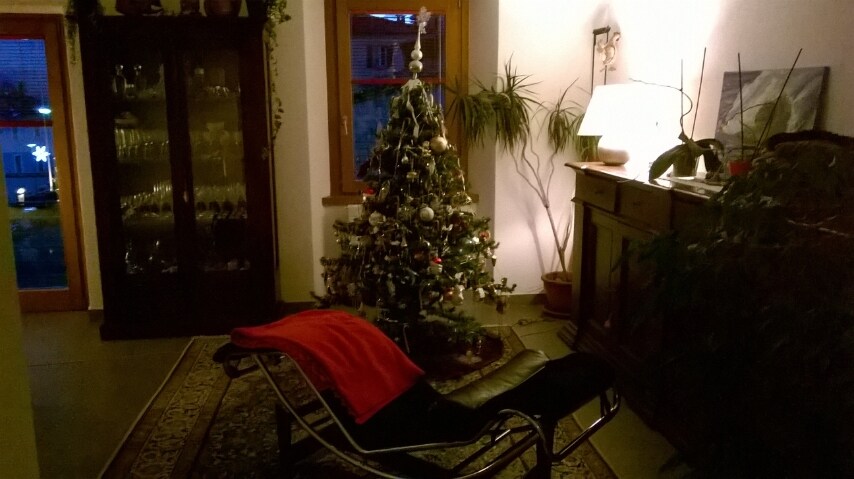 "Andare a vedere l'albero nella piazza principale di Lugano e decorare la mia casa un po' ovunque mi danno il senso del natale da sogno....il tutto". Dalla nostra utente Morena