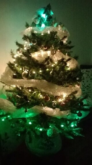 Foto inviata dalla nostra utente Marzia