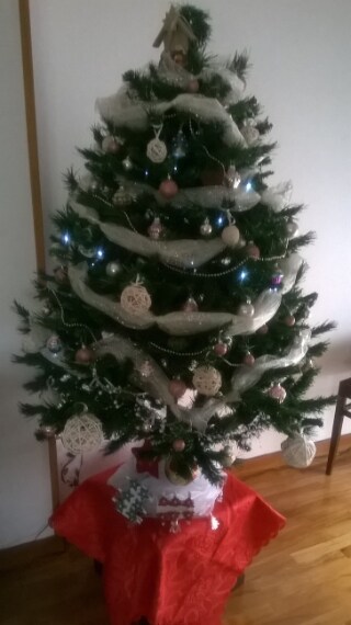 Foto inviata dalla nostra utente Marzia