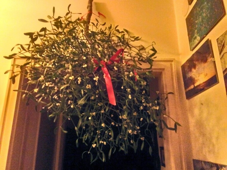"Il più bel ramo di vischio comparso a casa mia :-) ". Foto inviata dalla nostra utente Maura