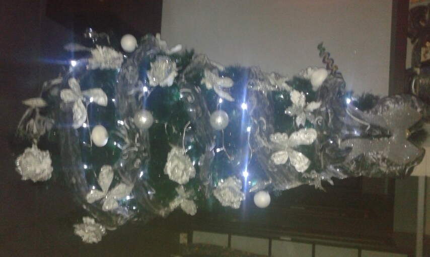 Foto inviata dalla nostra utente Erika