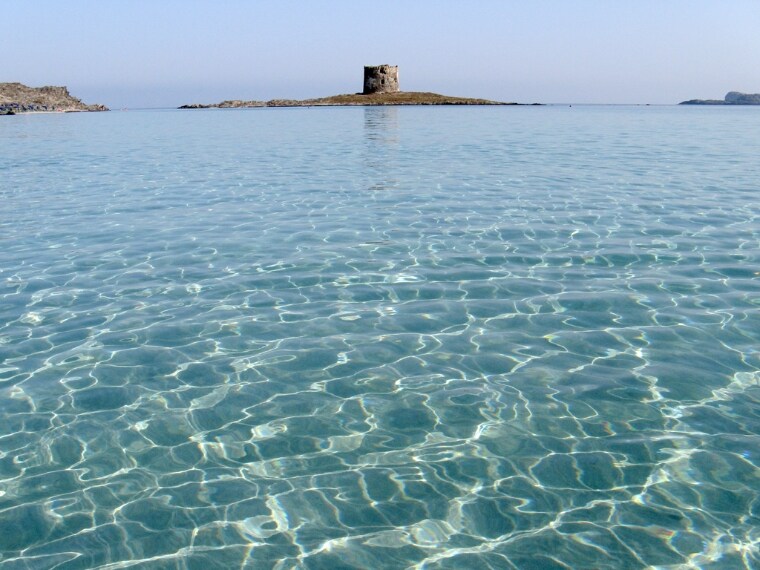 Foto da Flickr: https://www.flickr.com/photos/cnichele65/2836342774/