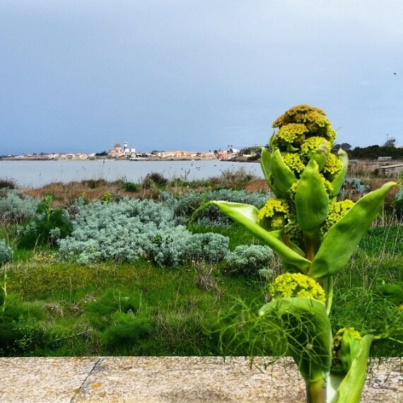 Credit @francescalicheri (su Instagram)