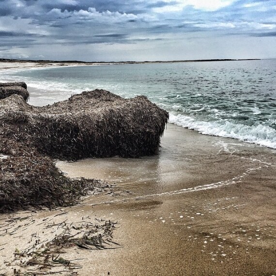 Credit @mauro_caredda (su Instagram)