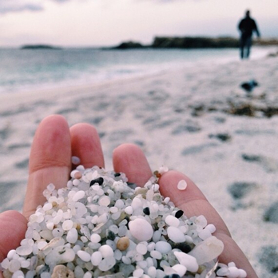 Credit @daniela_deidda (su Instagram)