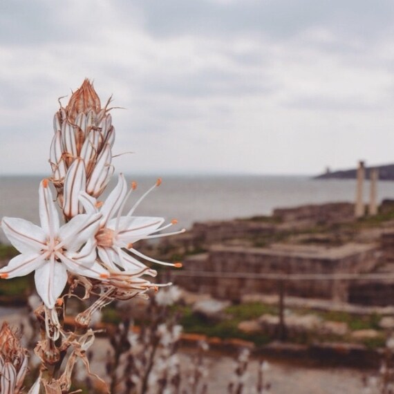 Credit @cinziaurru (su Instagram)