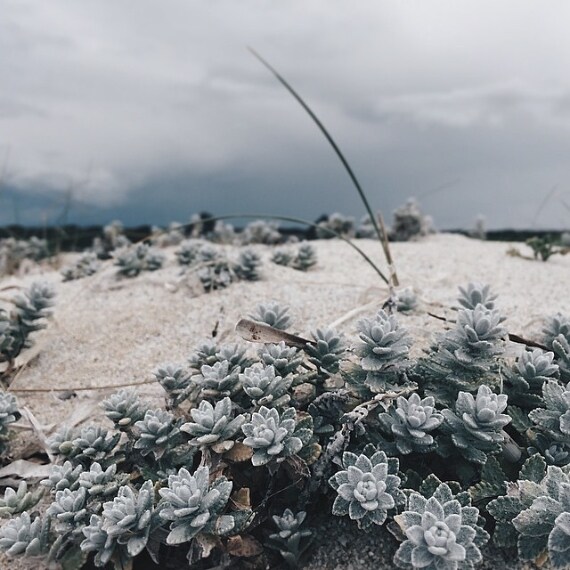 Credit @alessandrapolo (su Instagram)