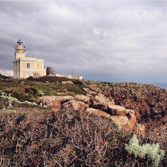 Credit @alice__s (su Instagram)