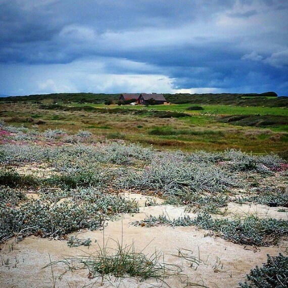 Credit @giansgru (su Instagram)