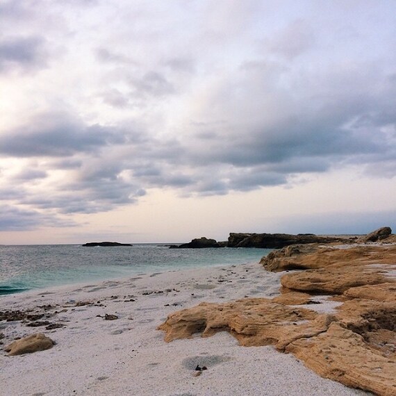 Credit @carliheart (su Instagram)