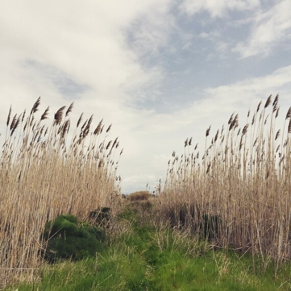 Credit @mariapiacossu (su Instagram)