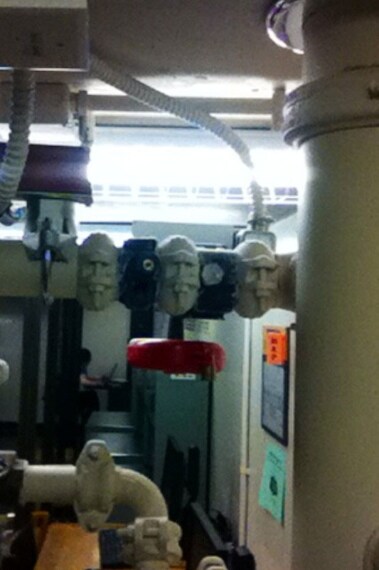 Sembrano delle statue. FONTE: redsoxfanumero1 on Reddit