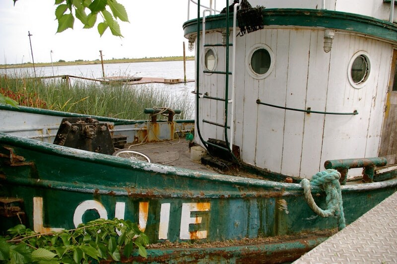 Anche se la laguna non deve essere il massimo. FONTE: briansbrother34 on Reddit