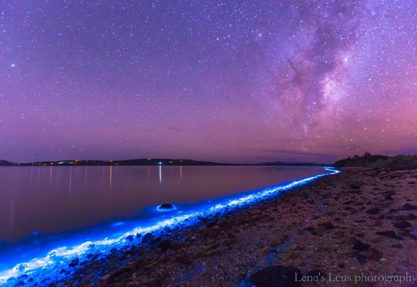 Sulle sponde del fiume si può assistere a questa meraviglia.