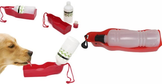 La borraccia per l'acqua con il dispenser.