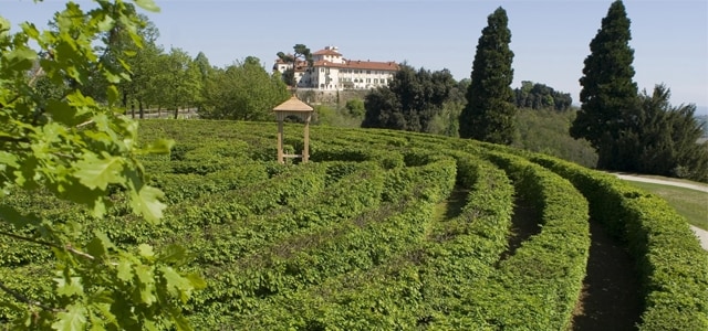Il labirinto botanico di siepi del Castello di Masino in Piemonte è il secondo più grande d'Italia.