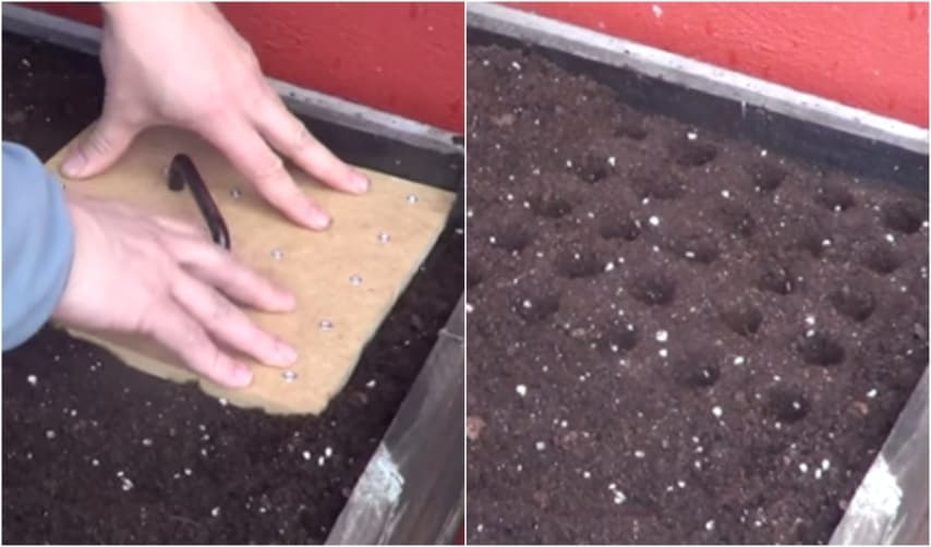 Ecco realizzato un pratico foraterra per creare sul terriccio i buchi per la semina.