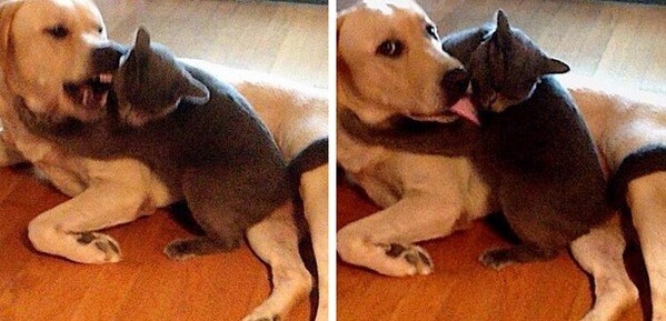 Cosa succede quando si sta litigando e poi entra la mamma