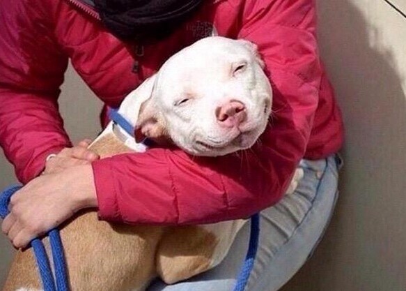 L'espressione che un fratello ha quando viene difeso dai genitori