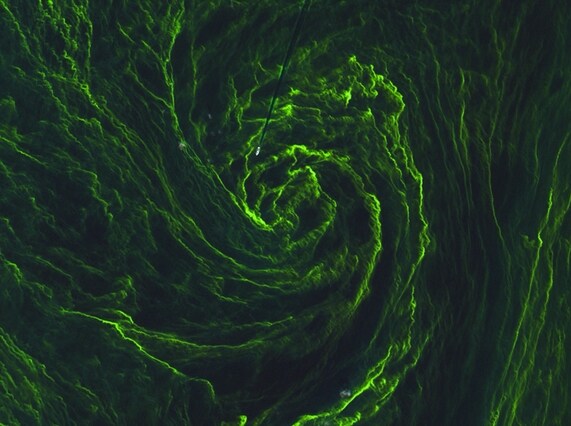 Le immagini riprese da Sentinel-2A