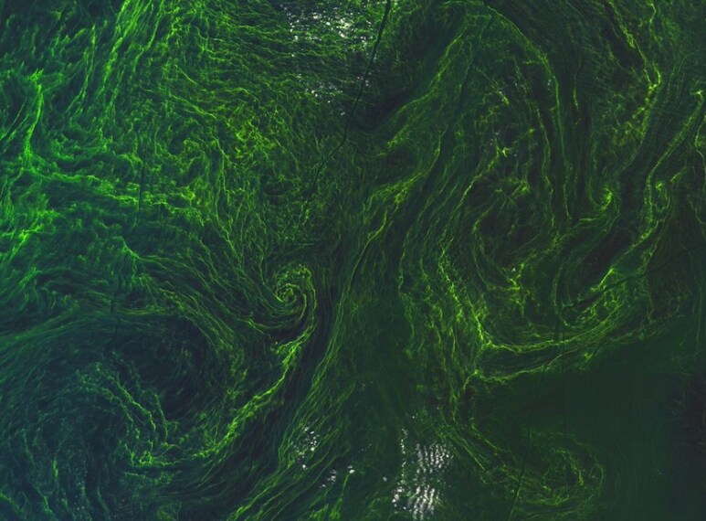 Le immagini riprese da Sentinel-2A