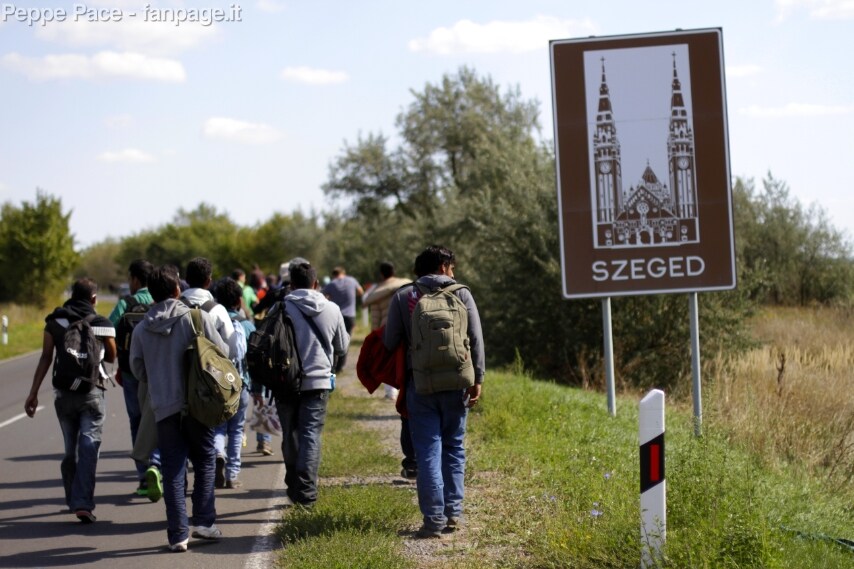 Migranti sfuggiti alla polizia di frontiera in marcia verso Budapest