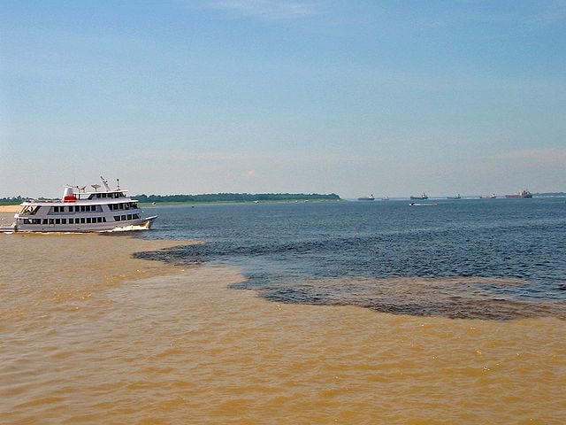 https://commons.wikimedia.org/wiki/File:Manaus_Encontro_das_aguas_10_2006_102_8x6.jpg