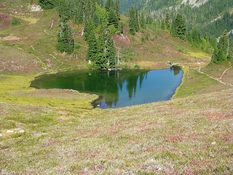 Situato nel Bacino dei Sette Laghi dell'Olympic National Park, Heart Lake è chiamato per la sua forma particolare. Il bacino è per lo più sterile, ma circondato da secolari boschi e prati alpini. Anche se ci sono pesci in altri laghi questo non ne ha.
