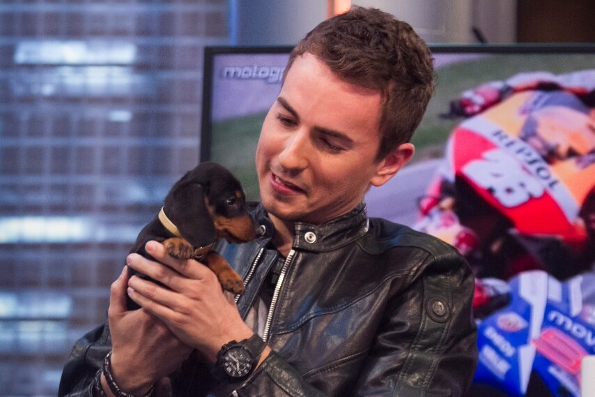 Jorge Lorenzo ha presentato il suo nuovo cucciolo davanti alle telecamere del programma televisivo spagnolo 'El Hormiguero'.