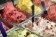 Gelato