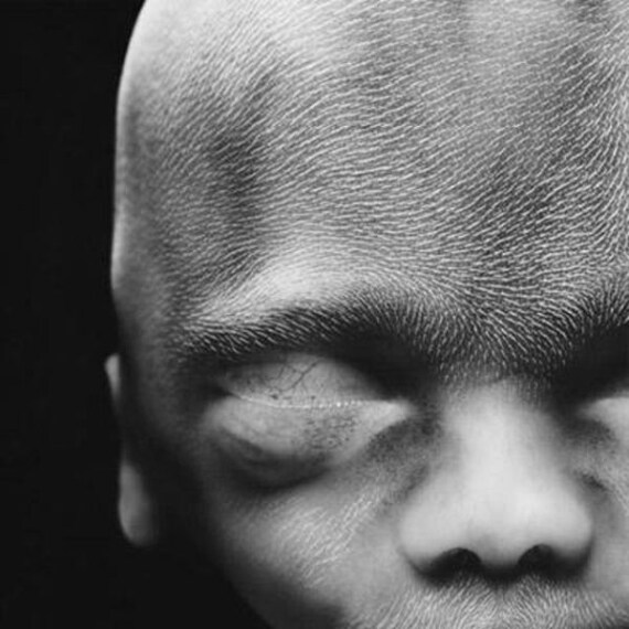 una leggera peluria inizia a coprire il volto