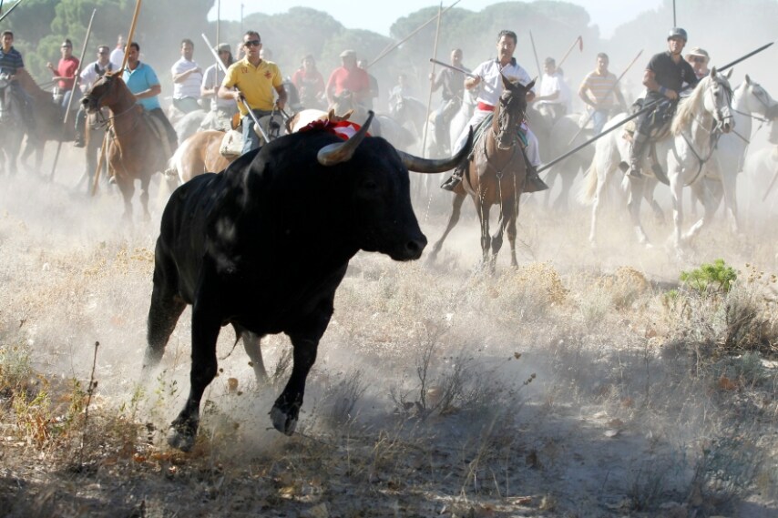 L'evento medievale si tiene ogni anno a settembre a Tordesillas