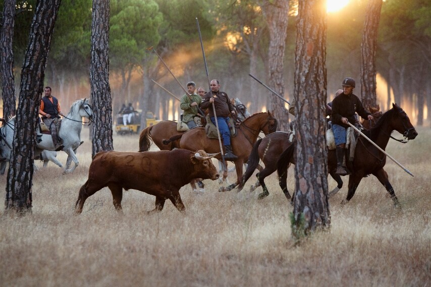 con l'obiettivo di uccidere i tori