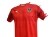 Maglia ufficiale dell'Austria