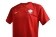 Seconda maglia della Nazionale polacca