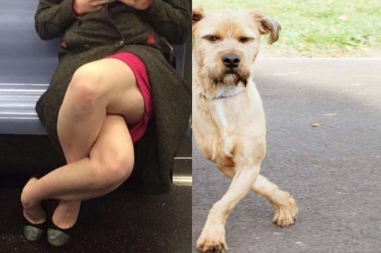 C'è chi ha pensato a un meme