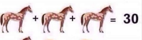 Quindi singolarmente ogni cavallo vale 10